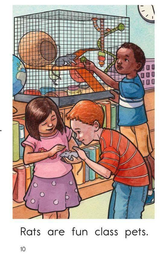 the pet在线观看,跟随the pet在线之旅  第2张